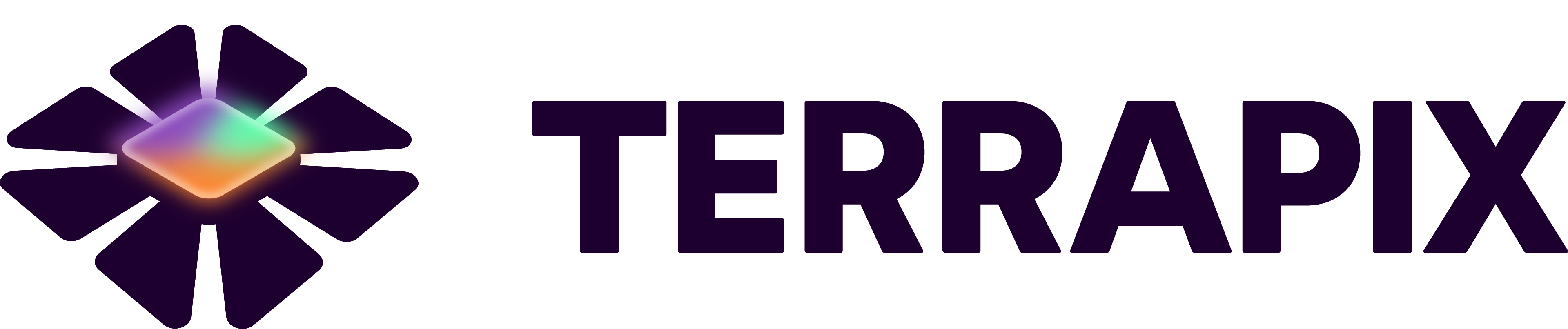 Horizontální plnobarevné logo Terrapix